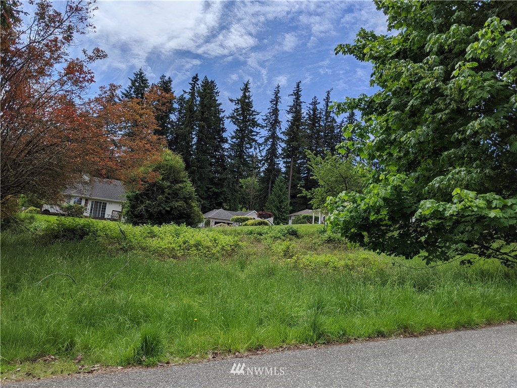 0 Fir Tree Way Bellingham, WA 98229 - Photo 3 of 5 Gallery Image 3