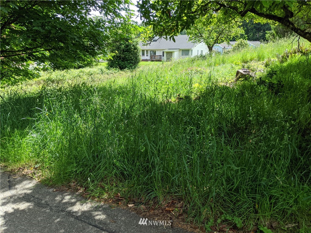 0 Fir Tree Way Bellingham, WA 98229 - Photo 4 of 5 Gallery Image 4