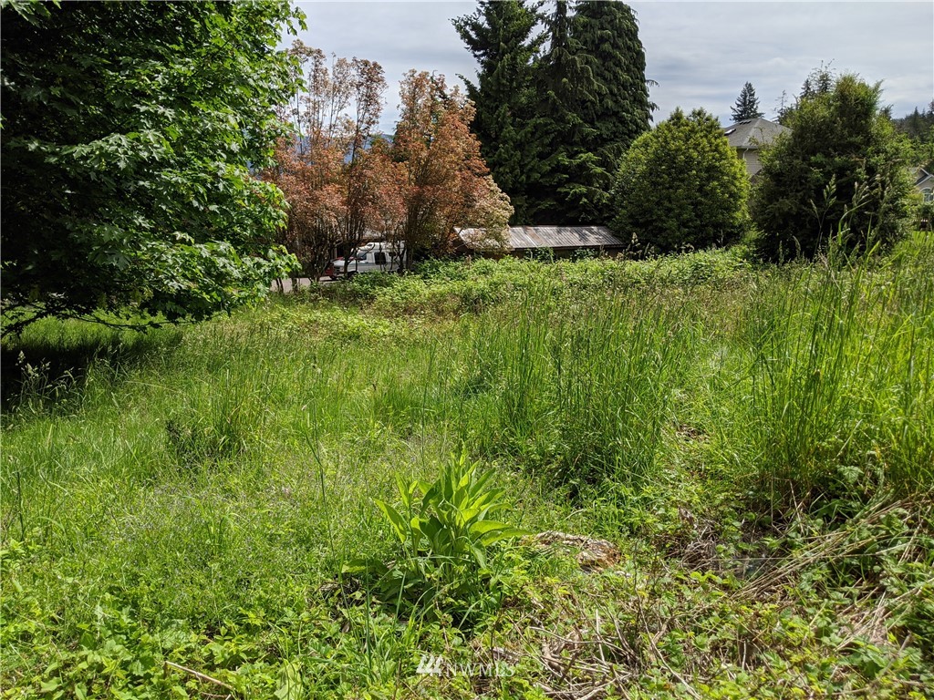 0 Fir Tree Way Bellingham, WA 98229 - Photo 5 of 5 Gallery Image 5