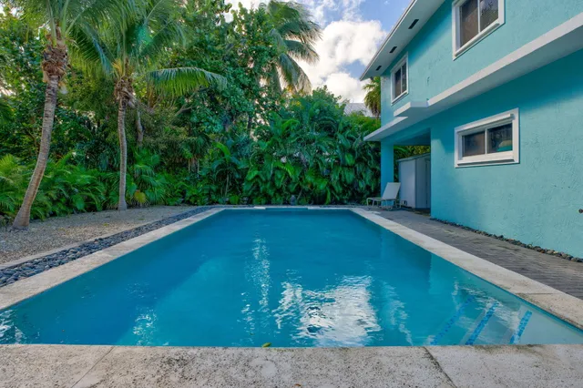 a view of a backyard with plants and large trees