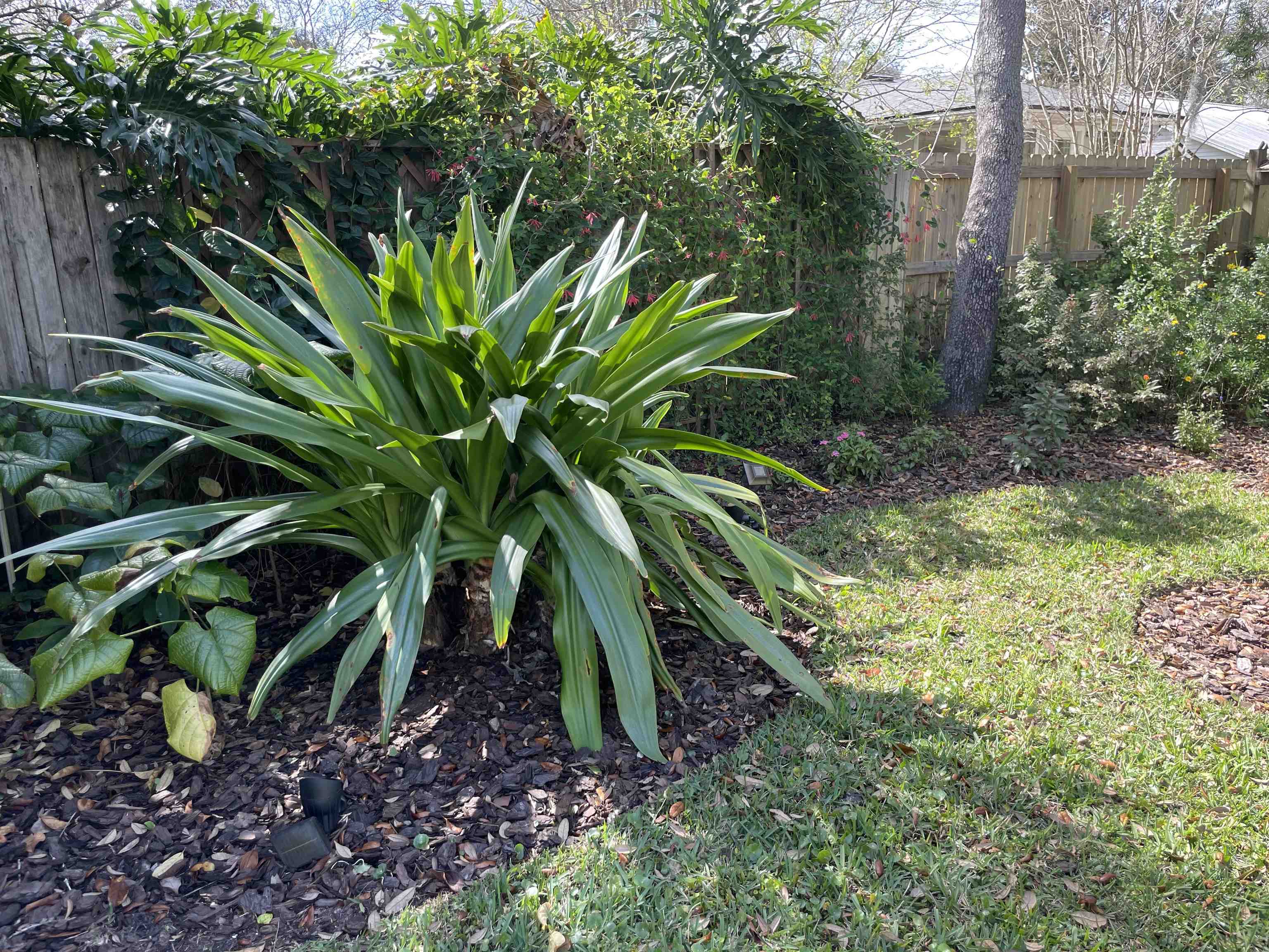 222 Bonita Road St. Augustine, FL 32086 - Photo 39 of 46 Gallery Image 39