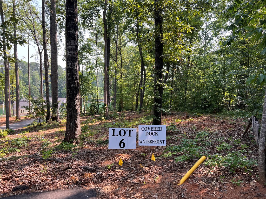Lot 6 Turtle Cv Road Seneca, SC 29672 - Photo 1 of 3 Gallery Image 1