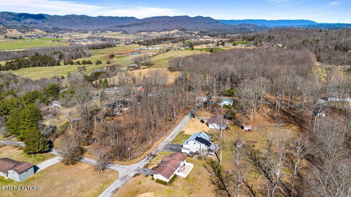 125 Denise Drive Speedwell, TN 37870 - Photo 49 of 51 New 4