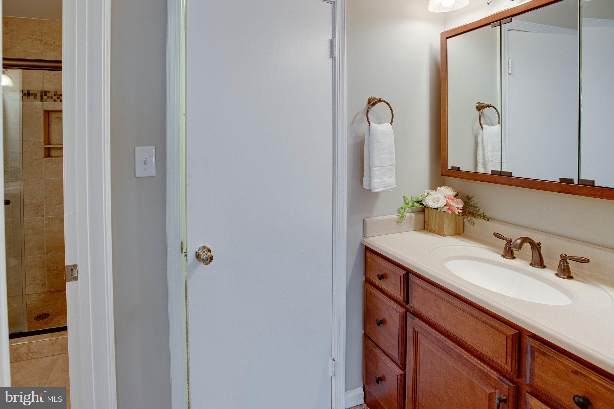 5802 Canvasback Road Burke, VA 22015 - Photo 24 of 57 Primary Bathroom
