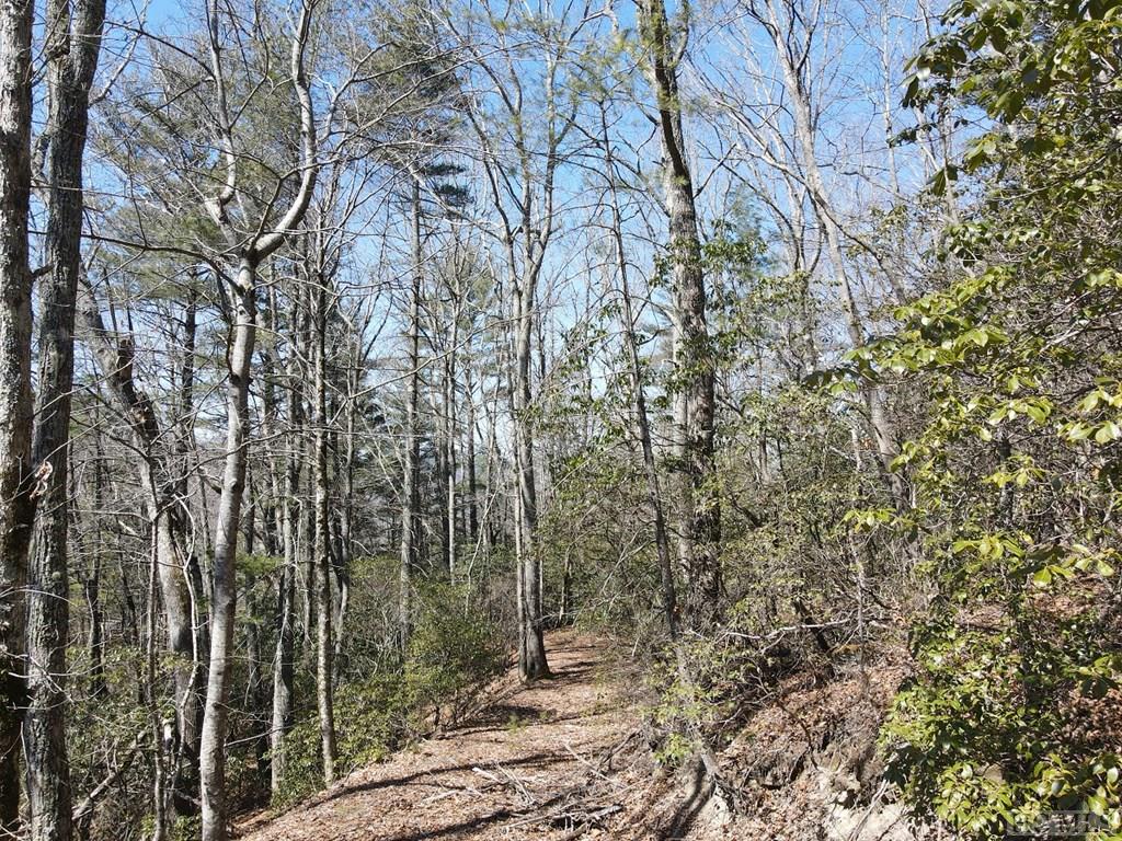 Tbd Pine Creek Road Cullowhee, NC 28723 - Photo 4 of 51 Gallery Image 4