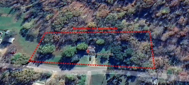 a view of a potted flower in a yard