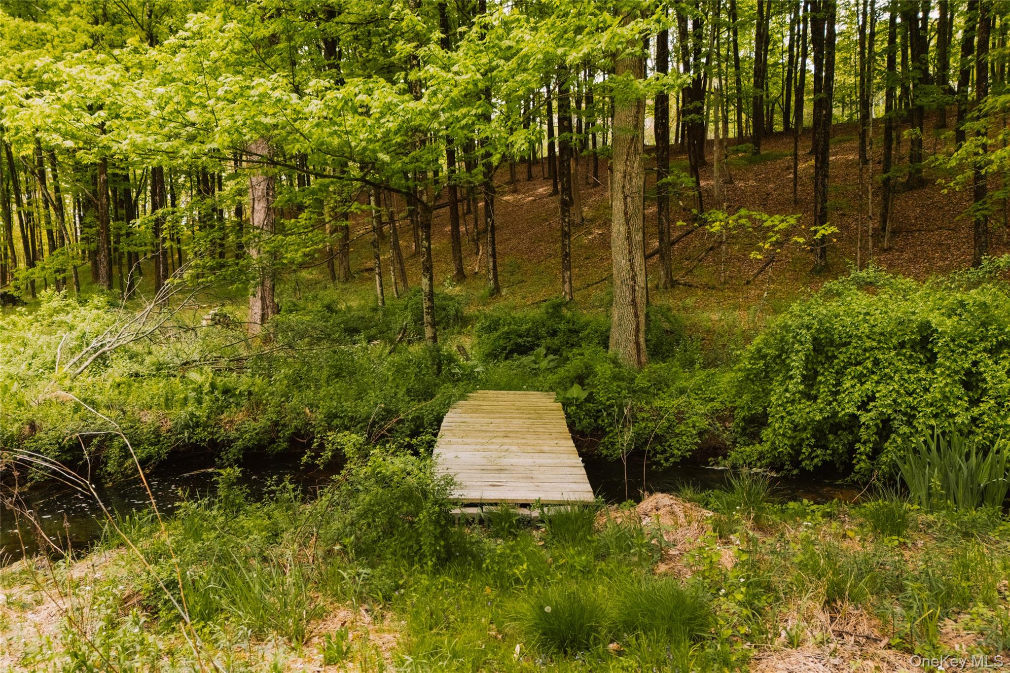 1046 Bulls Head Road Clinton Corners, NY 12514 - Photo 41 of 46 a garden view with a fountain