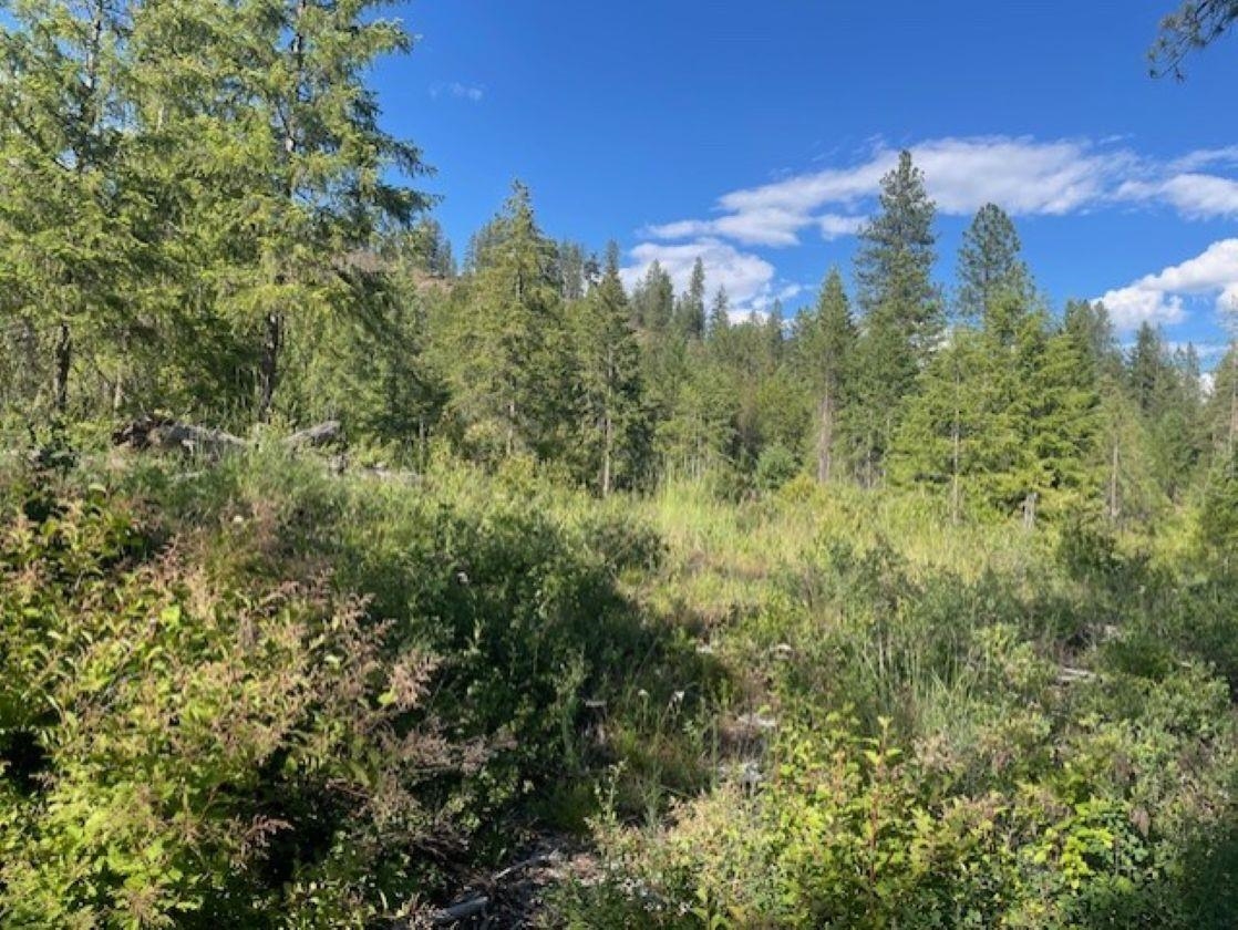 Nkn Bead Lake Road Oldtown, ID 83822 - Photo 13 of 27