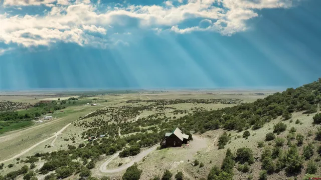 a view of a dry yard with wooden fence