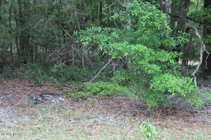 427 City Square Road Alford, FL 32420 - Photo 4 of 10 Gallery Image 4