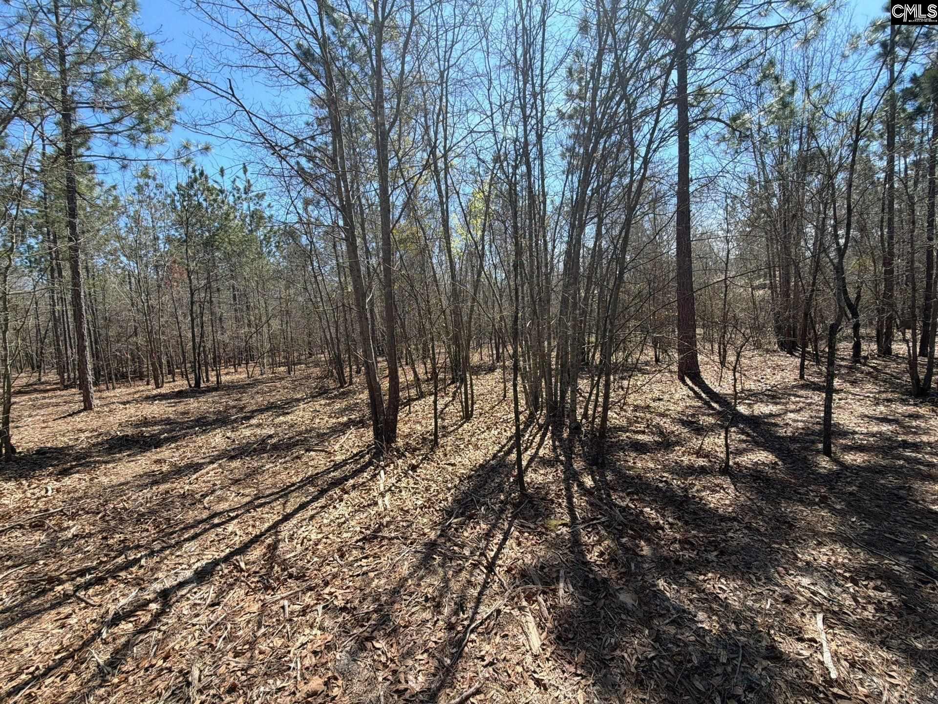 9 Boise Cascade Road, Unit BHL 9 Bethune, SC 29009 - Photo 33 of 44