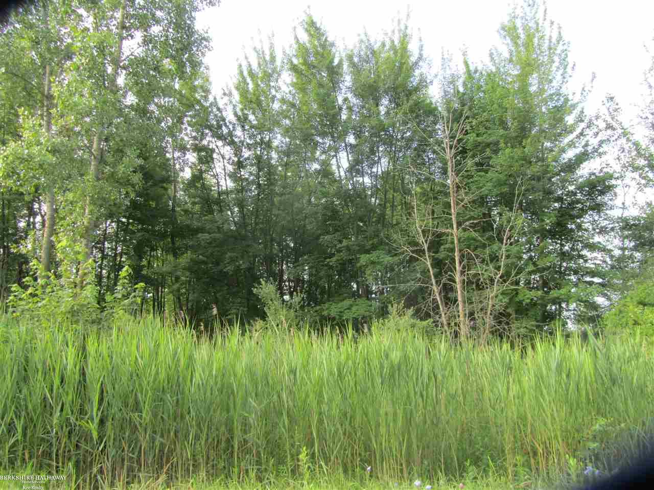 0 West Wellman Line Road Yale, MI 48097 - Photo 8 of 10