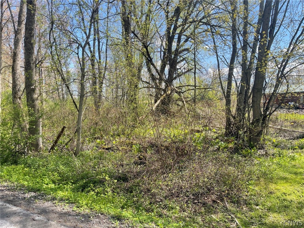 346 Moyer Road Richfield, NY 13439 - Photo 20 of 22