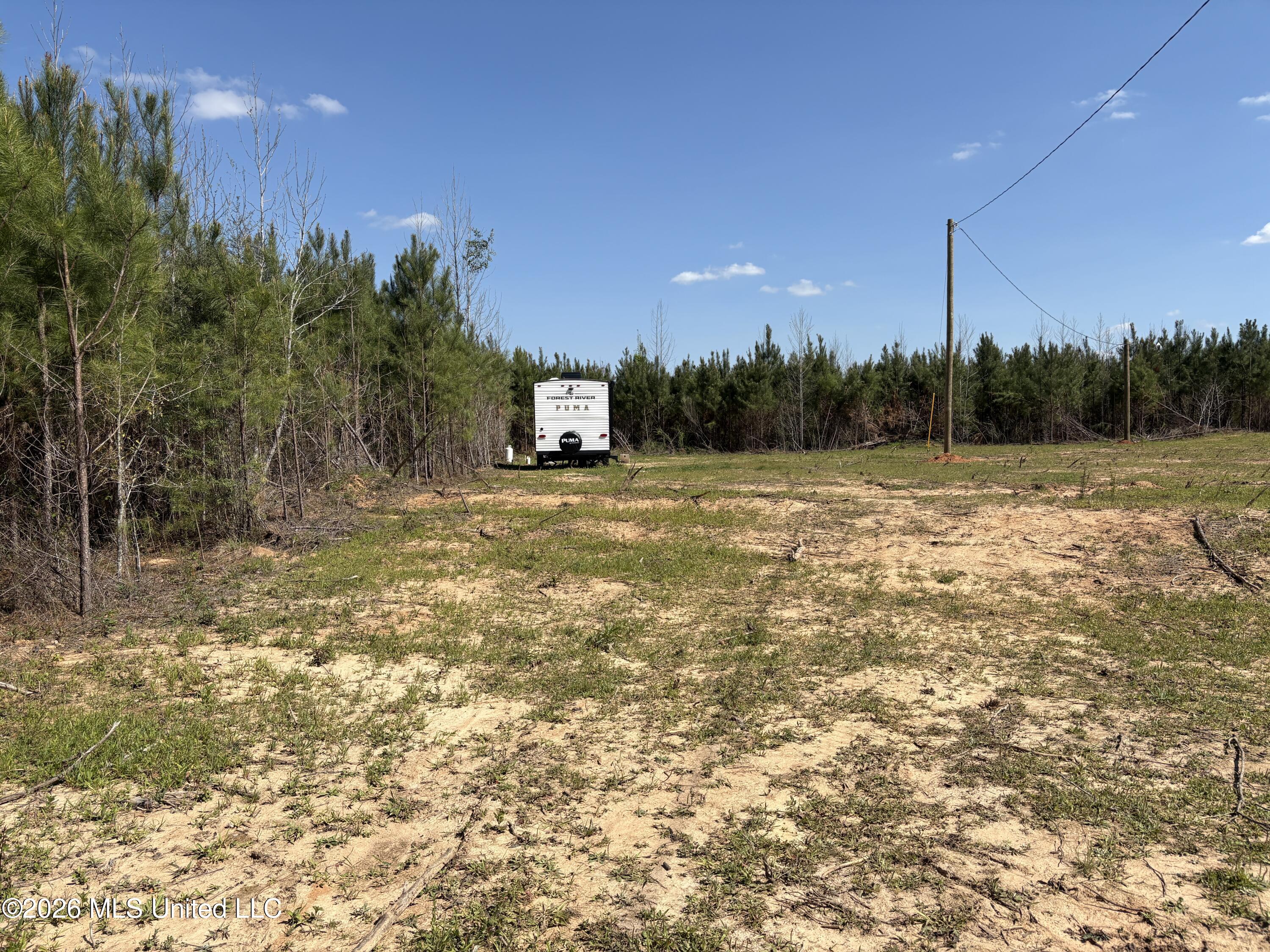 Dry Creek Road Magee, MS 39111 - Photo 11 of 12 IMG_3230