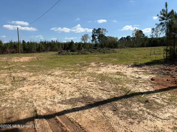 $40,000 | Dry Creek Road, Magee, MS 39111