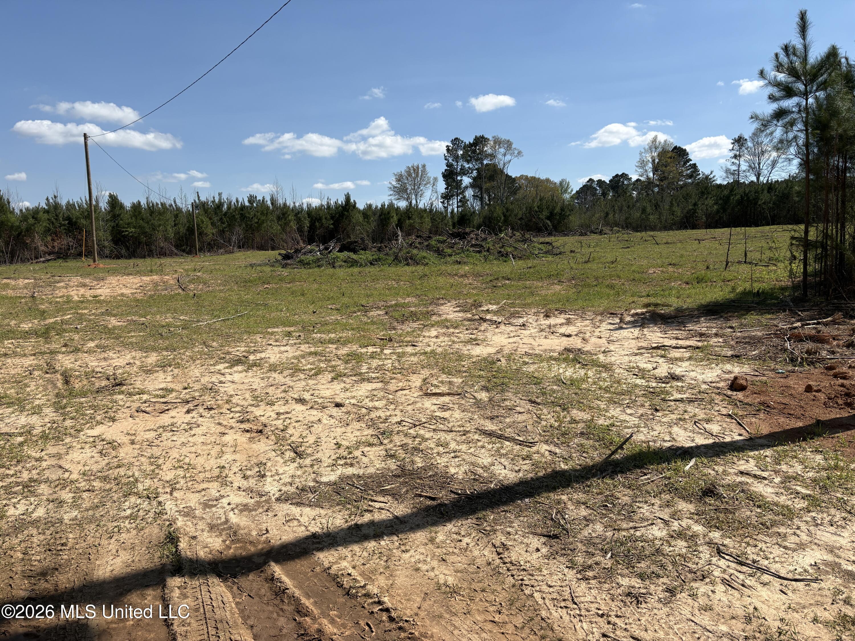 Dry Creek Road Magee, MS 39111 - Photo 2 of 12 IMG_3218