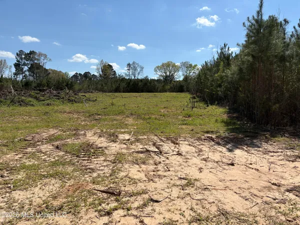 $40,000 | Dry Creek Road, Magee, MS 39111