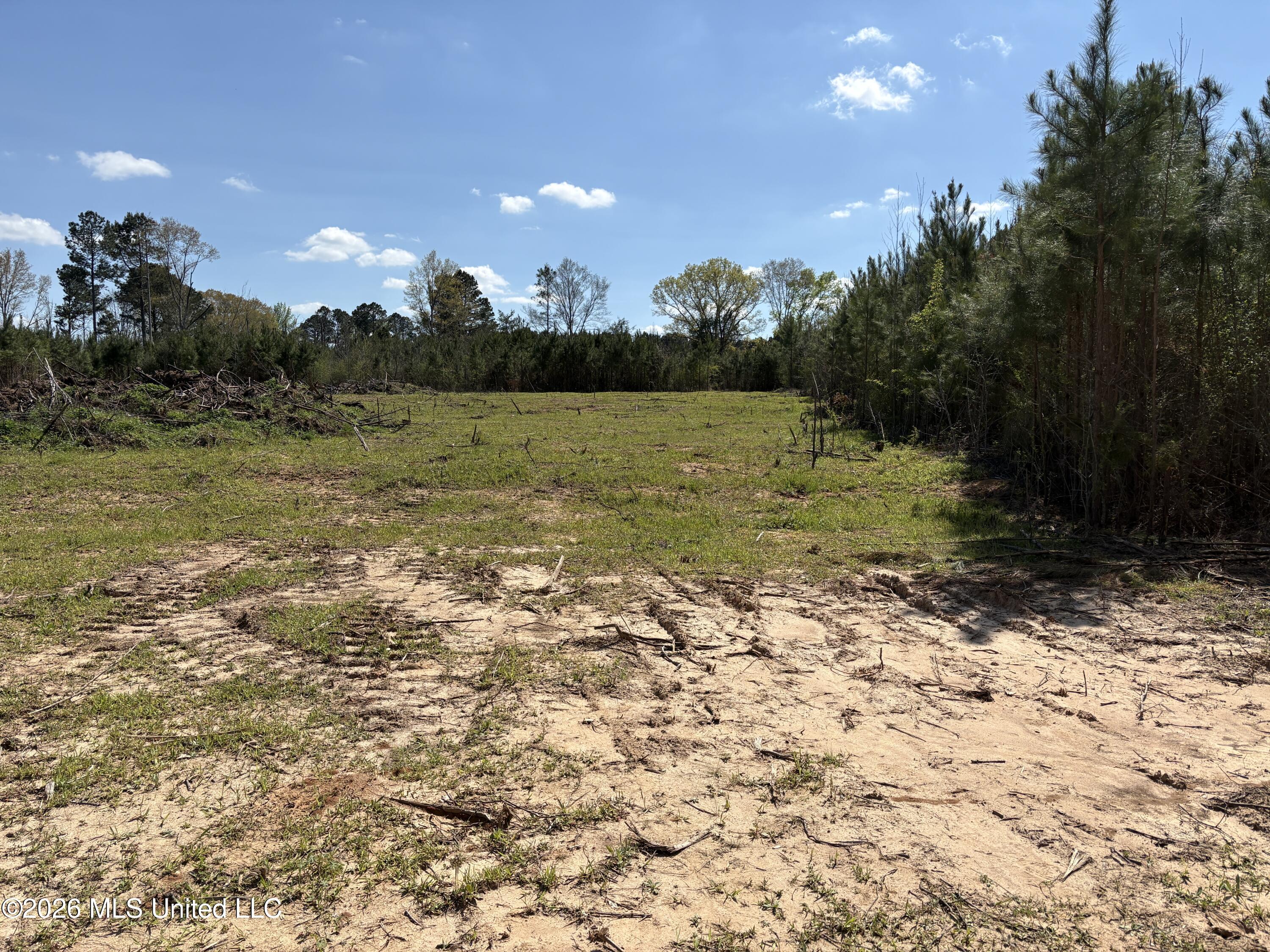 Dry Creek Road Magee, MS 39111 - Photo 5 of 12 IMG_3222