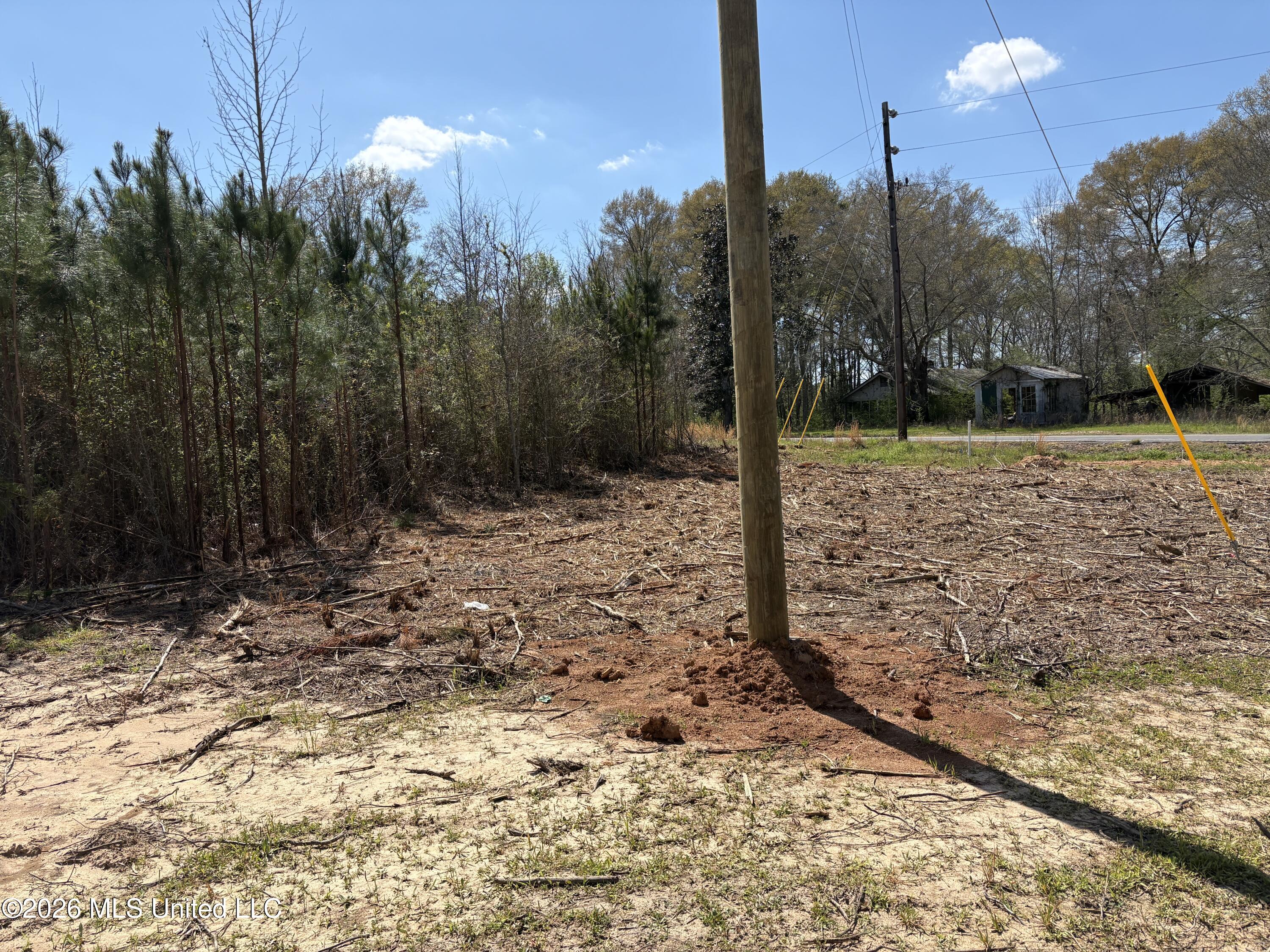 Dry Creek Road Magee, MS 39111 - Photo 6 of 12 IMG_3223