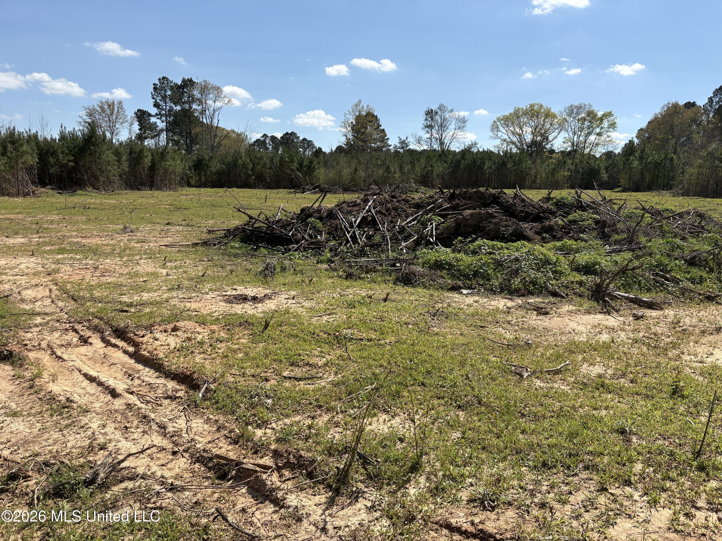 Dry Creek Road Magee, MS 39111 - Photo 7 of 12 IMG_3226