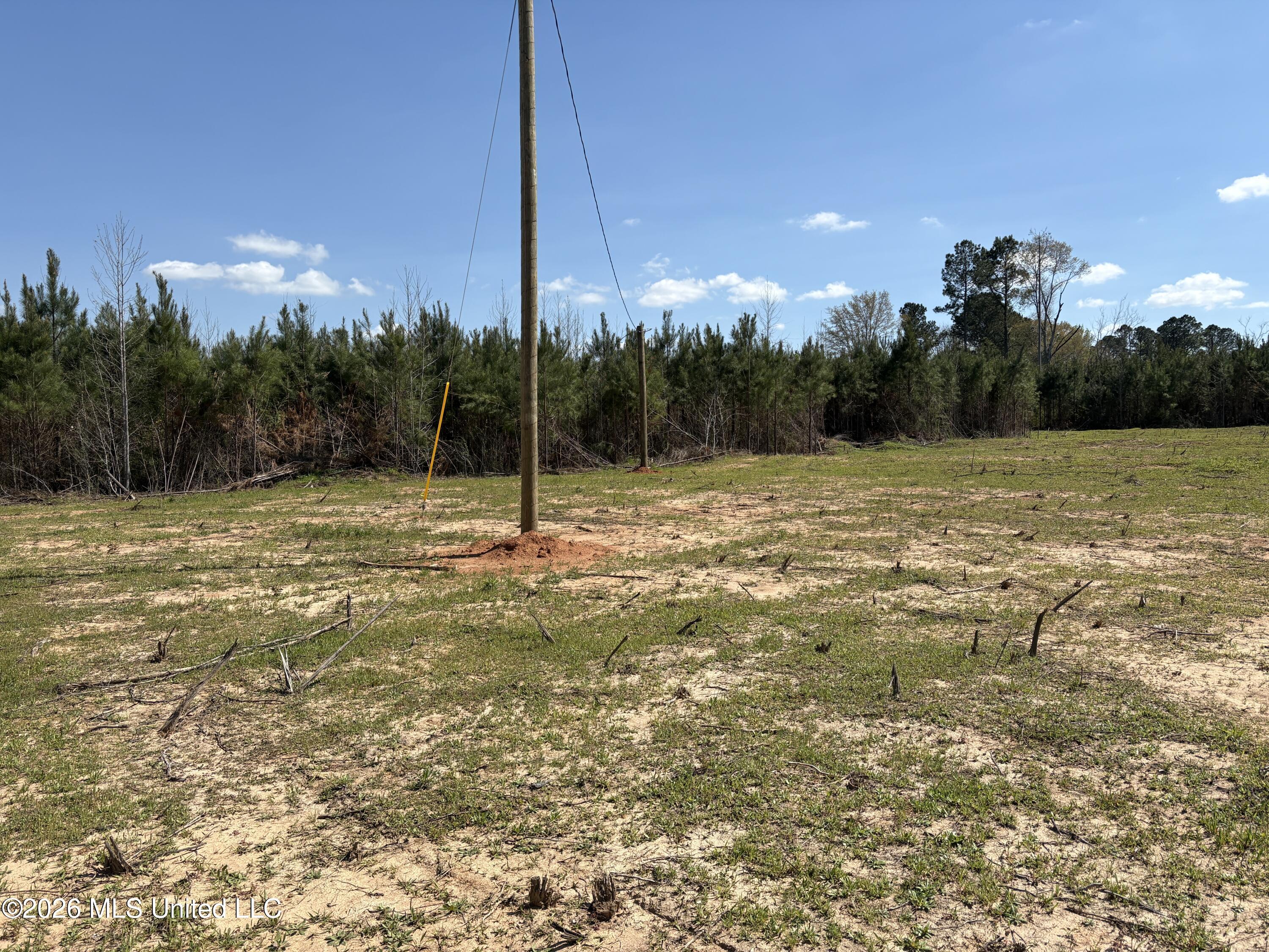 Dry Creek Road Magee, MS 39111 - Photo 8 of 12 IMG_3227