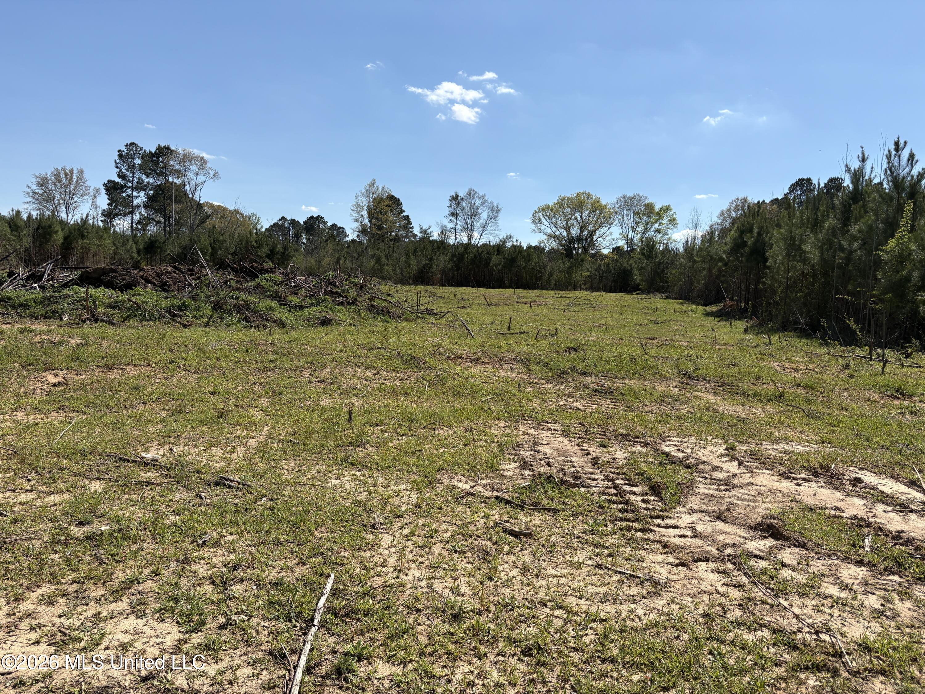 Dry Creek Road Magee, MS 39111 - Photo 9 of 12 IMG_3228