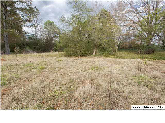 2733 Rocky Ridge Road, Unit 2733 Birmingham, AL 35243 - Photo 2 of 14