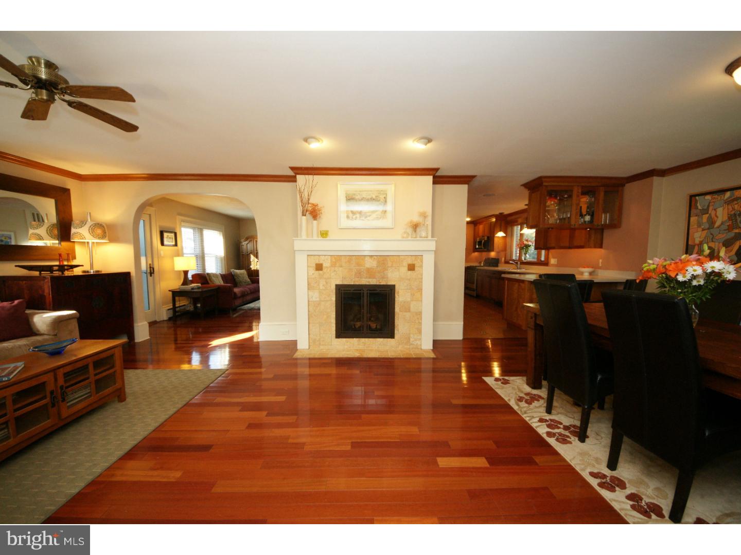 969 Alexander Road Princeton Junction, NJ 08550 - Photo 4 of 25 Fireplace