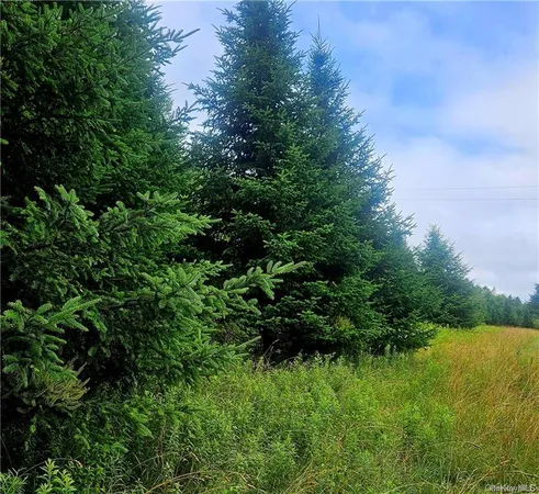 $249,000 | 4861 Swiss Hill, Jeffersonville, NY 12748