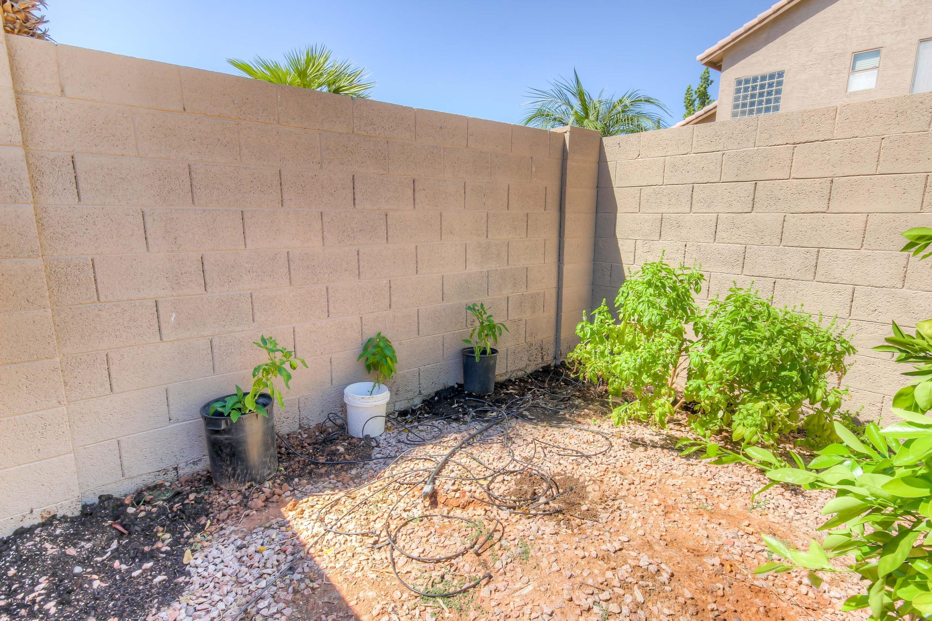 1672 East Redfield Road Gilbert, AZ 85234 - Photo 30 of 33 Rear (3)