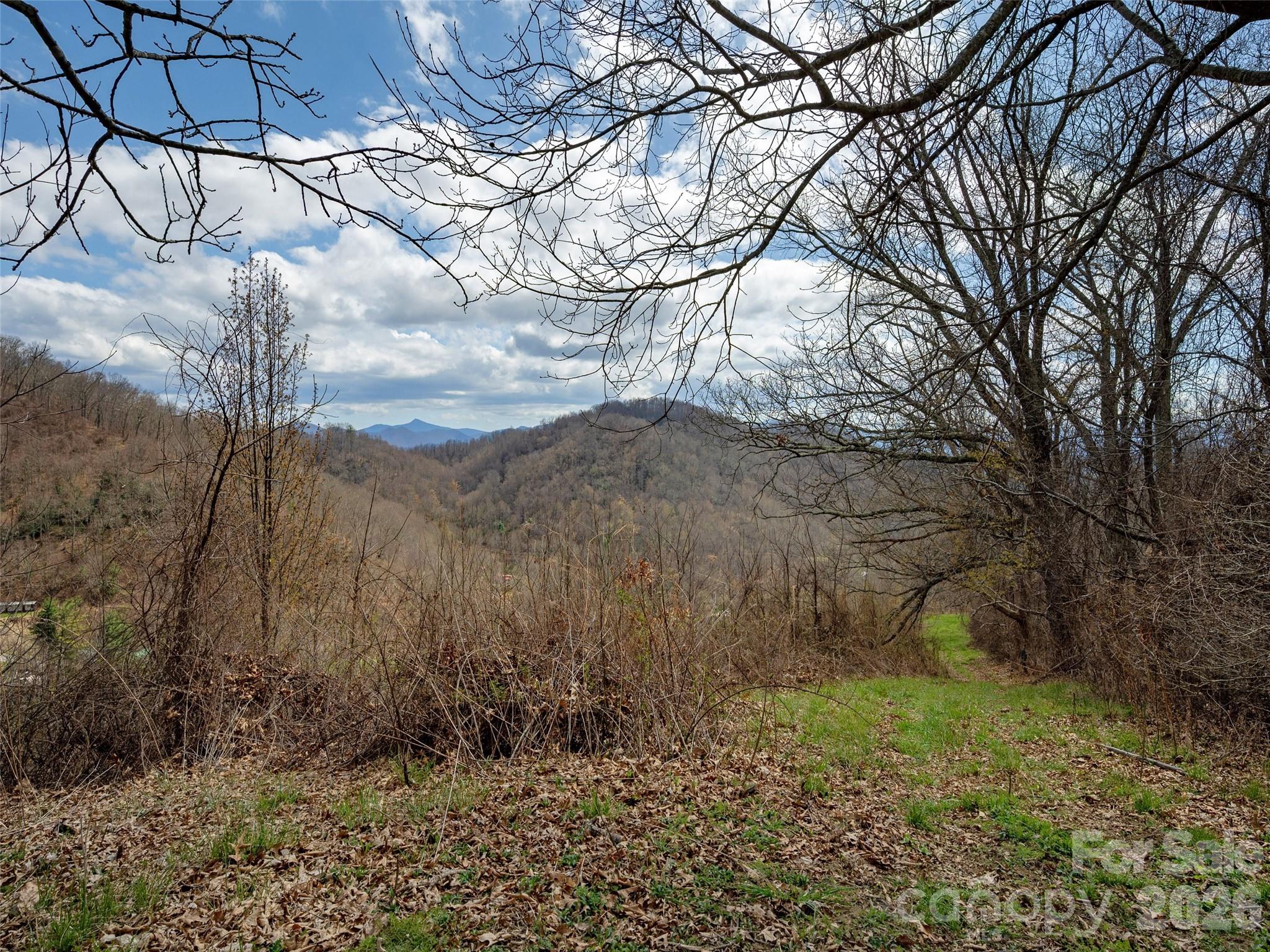 Tbd Wilson Cove Road Canton, NC 28716 - Photo 12 of 24