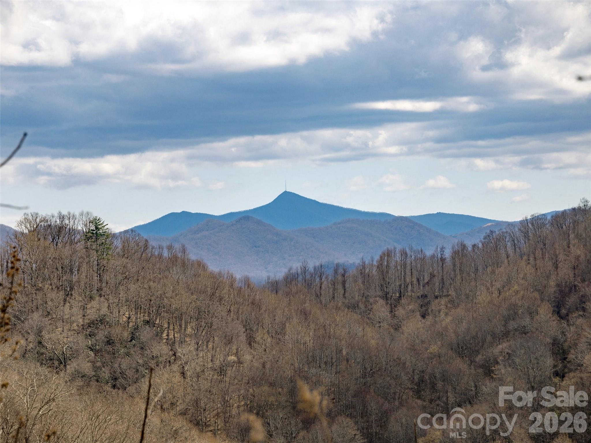 Tbd Wilson Cove Road Canton, NC 28716 - Photo 13 of 24