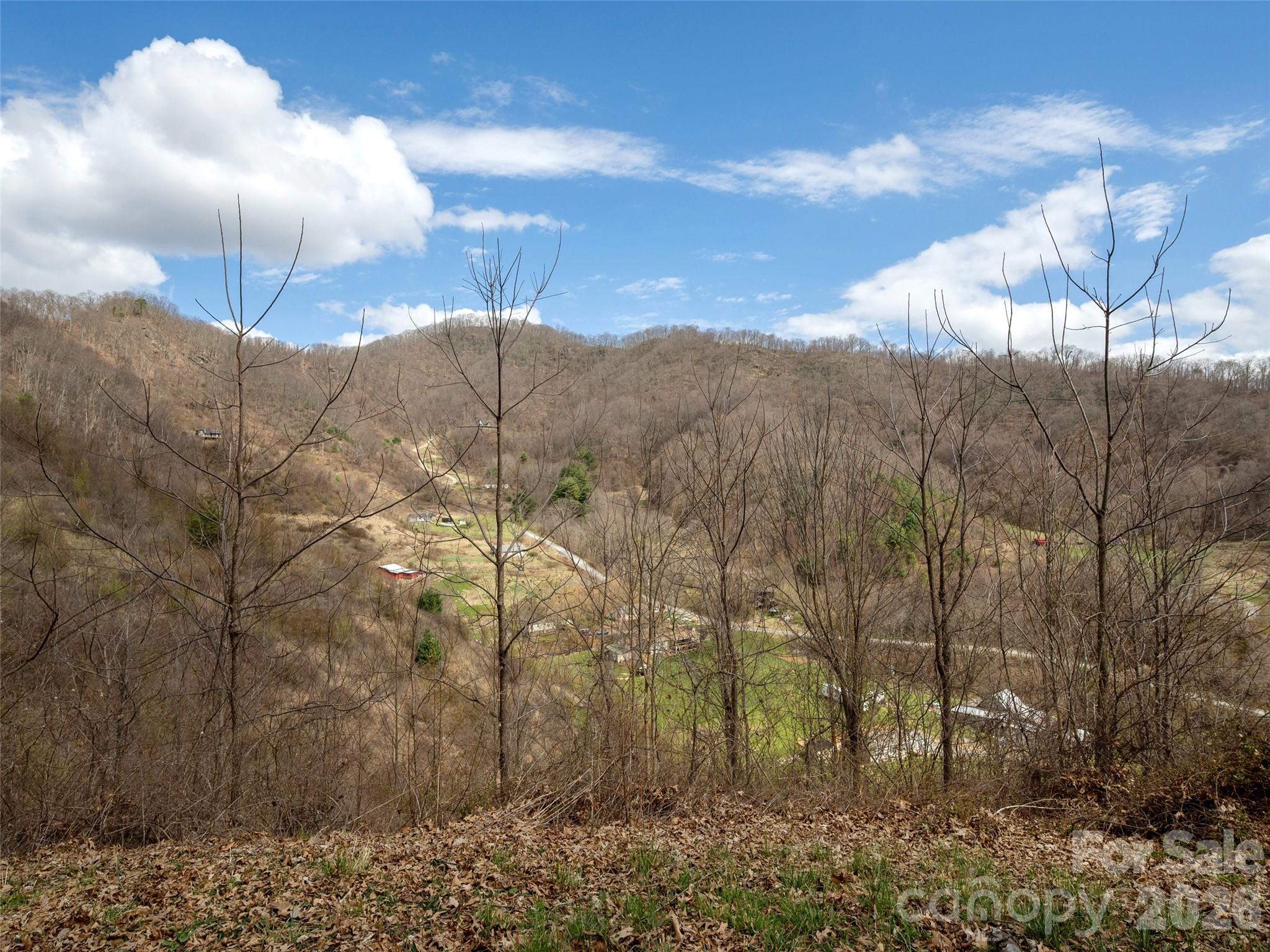 Tbd Wilson Cove Road Canton, NC 28716 - Photo 14 of 24