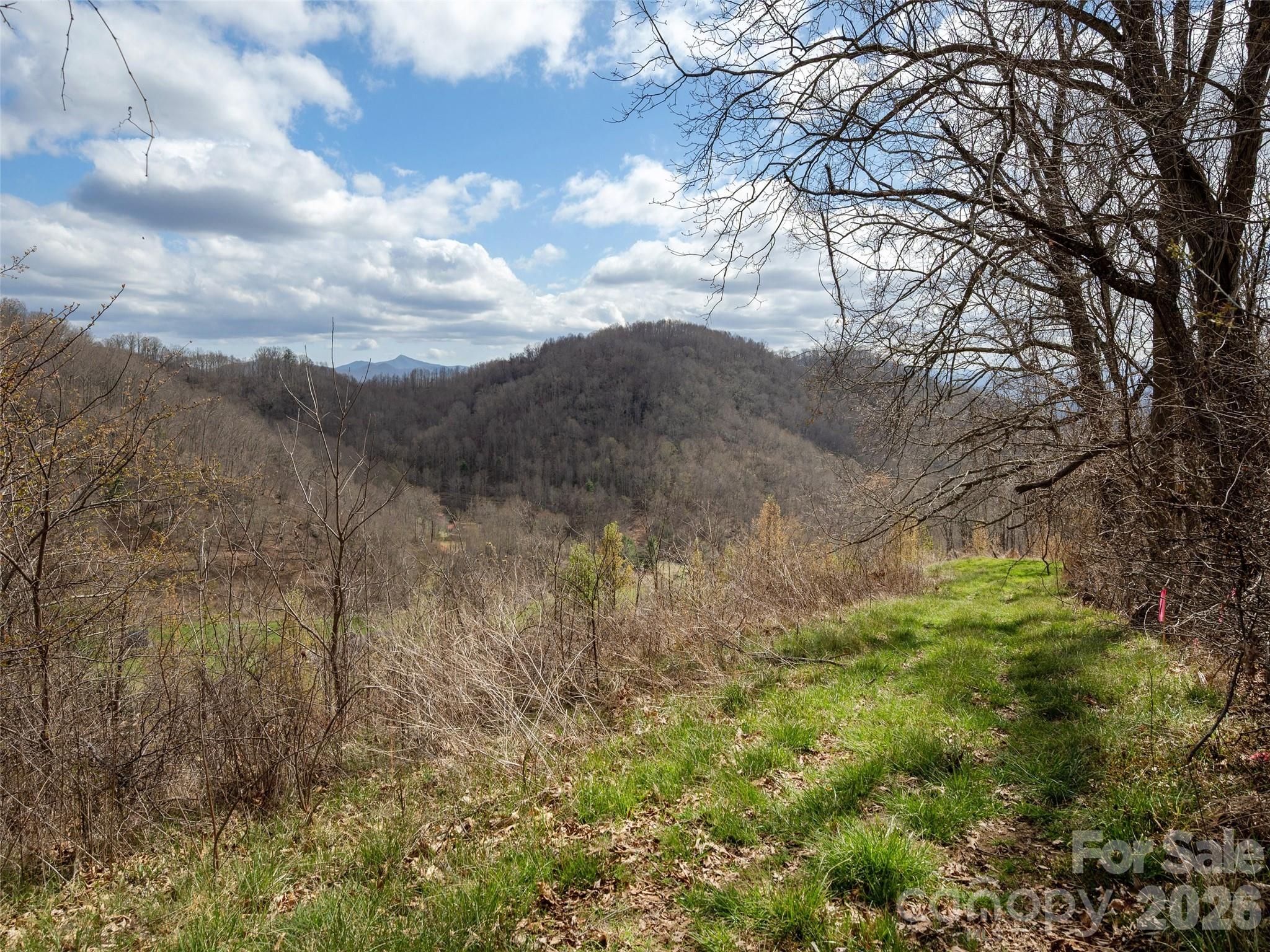 Tbd Wilson Cove Road Canton, NC 28716 - Photo 16 of 24