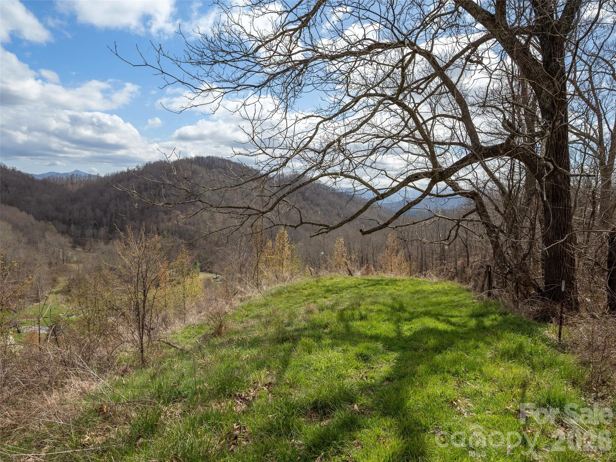 Tbd Wilson Cove Road Canton, NC 28716 - Photo 17 of 24