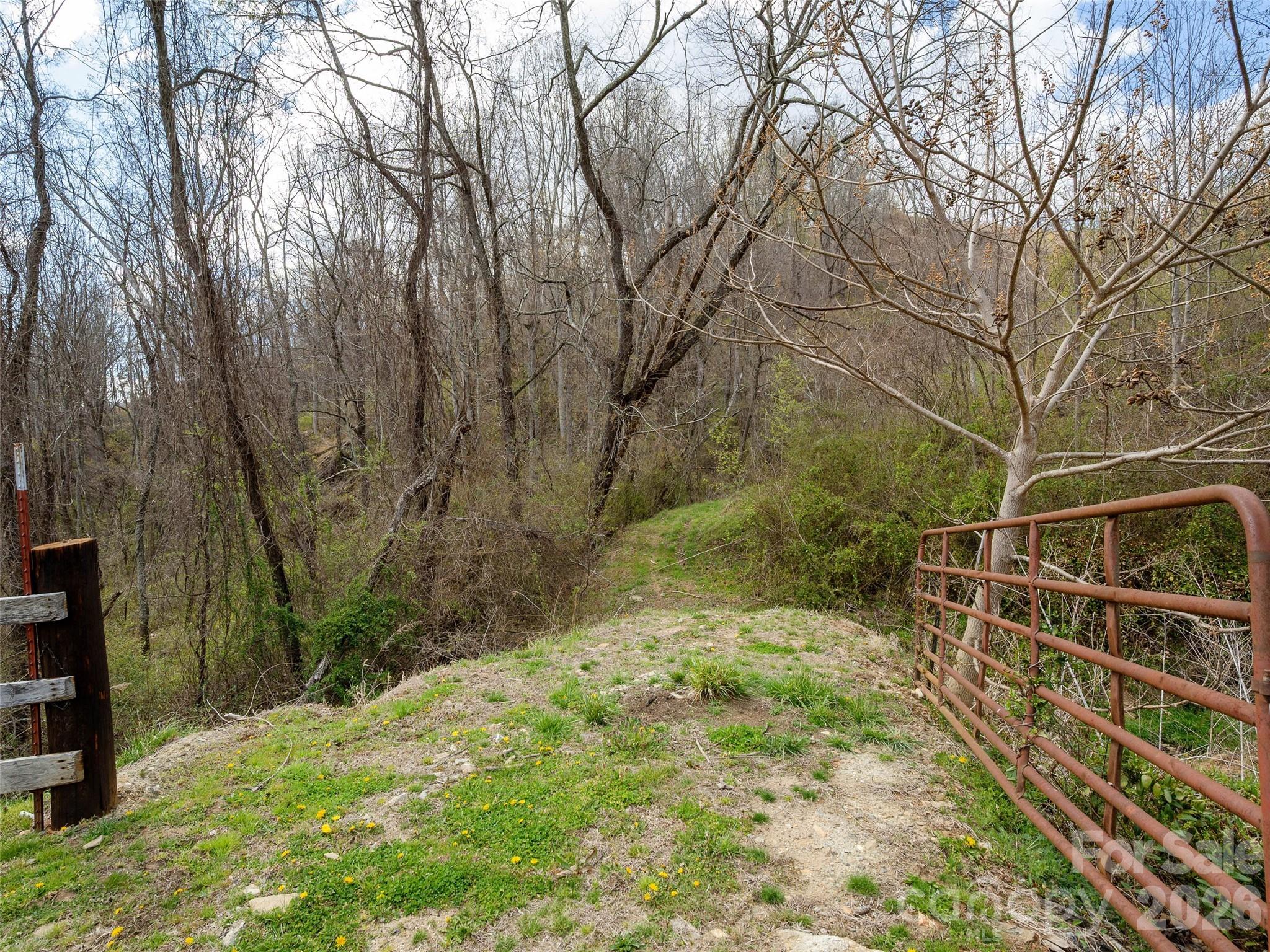 Tbd Wilson Cove Road Canton, NC 28716 - Photo 18 of 24