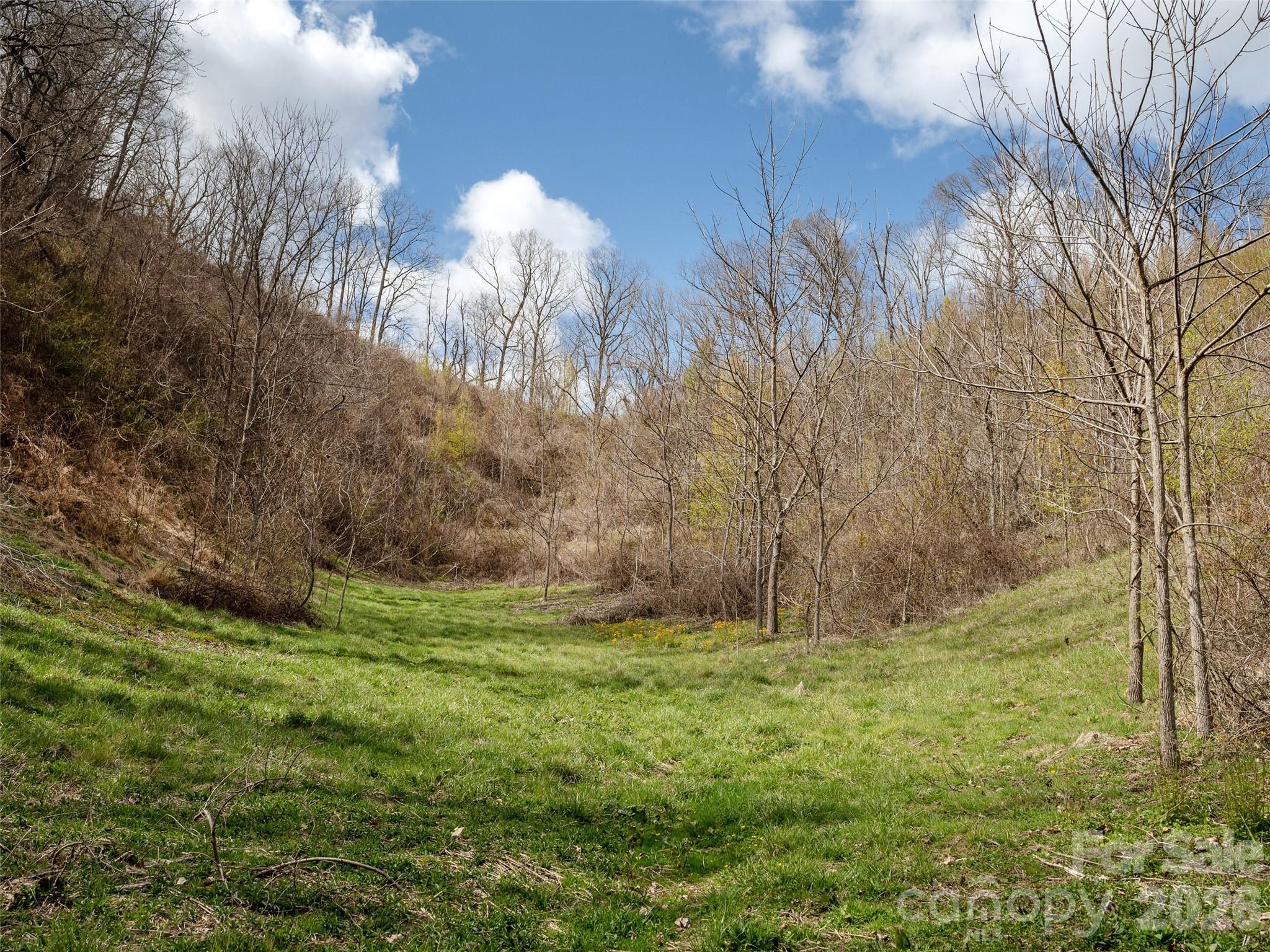 Tbd Wilson Cove Road Canton, NC 28716 - Photo 19 of 24
