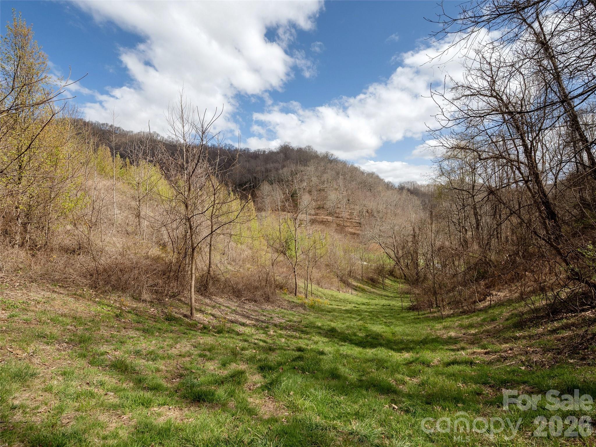 Tbd Wilson Cove Road Canton, NC 28716 - Photo 20 of 24