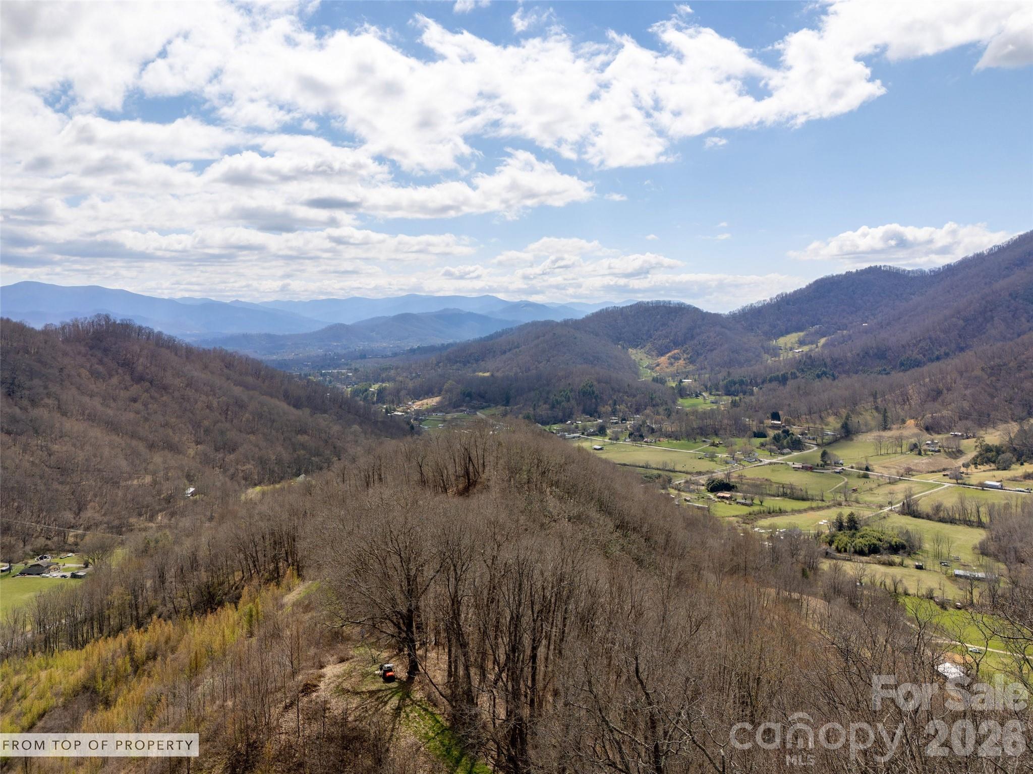 Tbd Wilson Cove Road Canton, NC 28716 - Photo 4 of 24