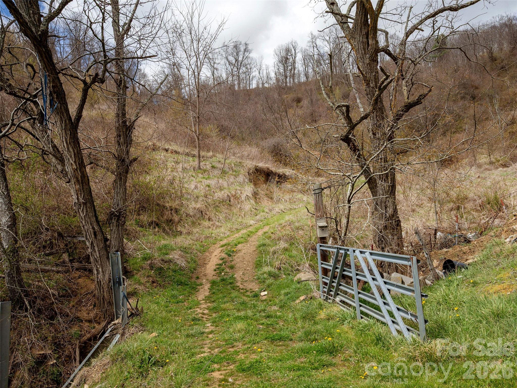 Tbd Wilson Cove Road Canton, NC 28716 - Photo 5 of 24