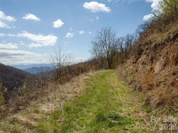 a view of a pathway with a yard
