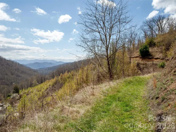a view of a yard with mountain and trees
