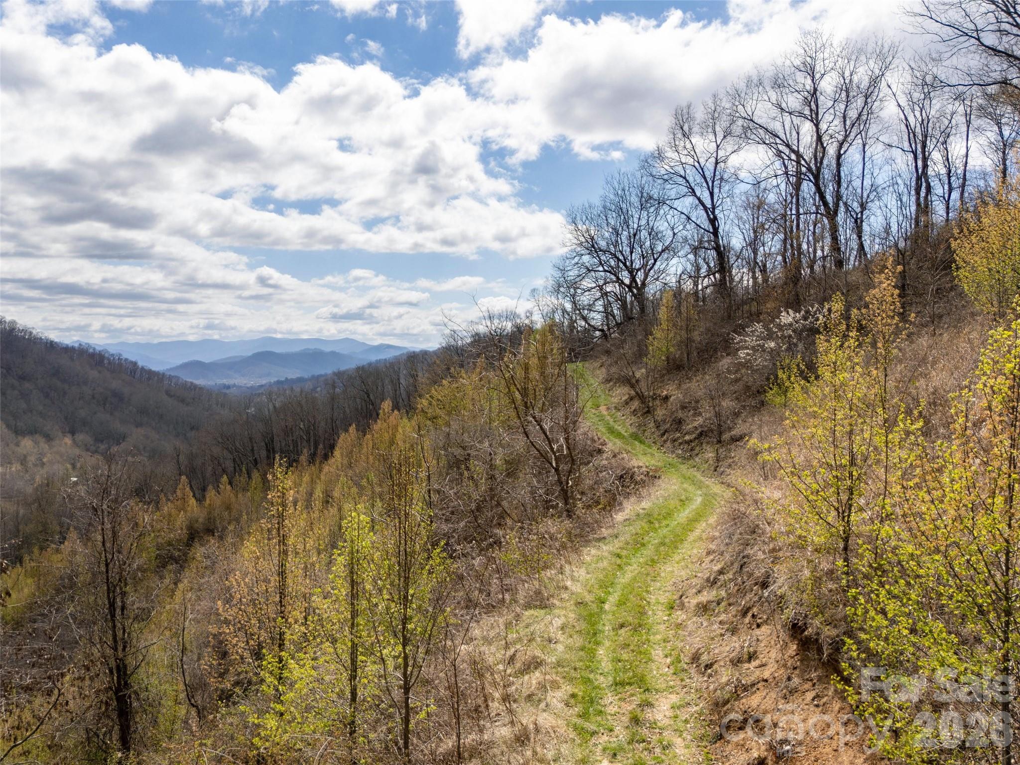 Tbd Wilson Cove Road Canton, NC 28716 - Photo 8 of 24