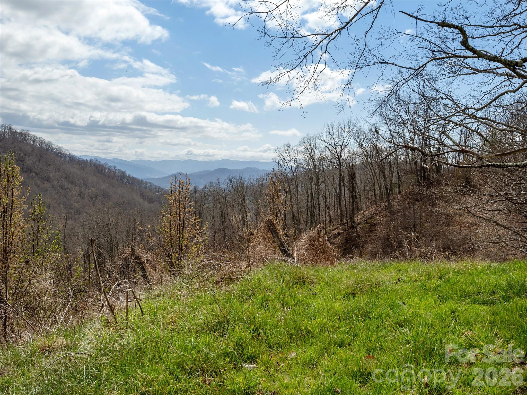 Tbd Wilson Cove Road Canton, NC 28716 - Photo 9 of 24