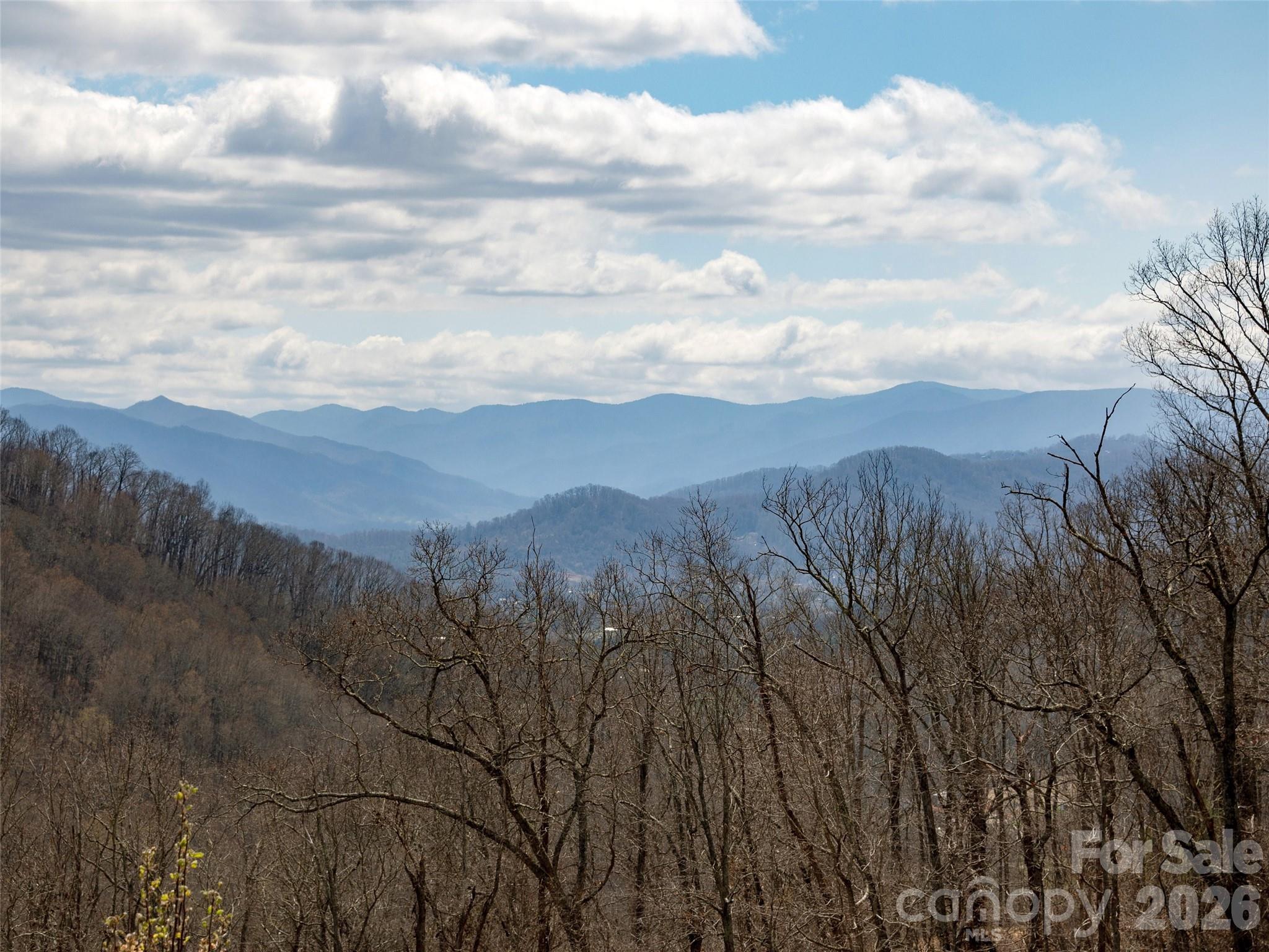 Tbd Wilson Cove Road Canton, NC 28716 - Photo 10 of 24