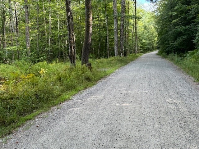 Lot 119 Davis Mine Road Rowe, MA 01367 - Photo 4 of 19 Gallery Image 4