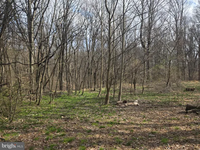 a view of outdoor space with wooden fence