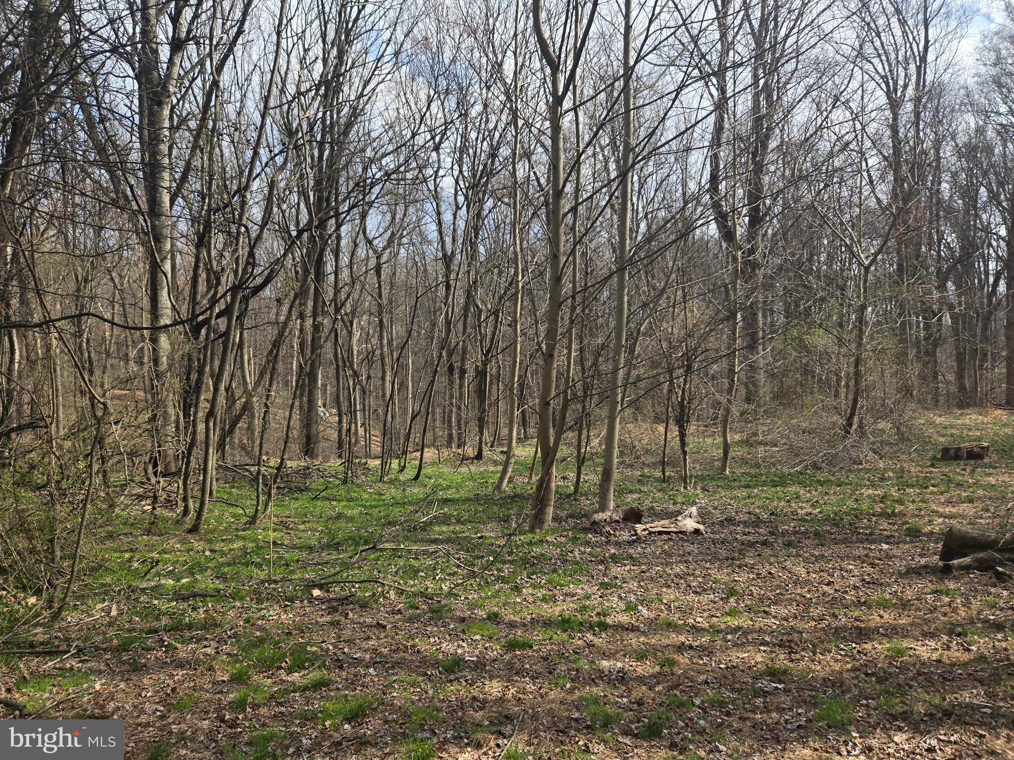 1156 Day Road Sykesville, MD 21784 - Photo 13 of 24 a backyard of a house with lots of green space