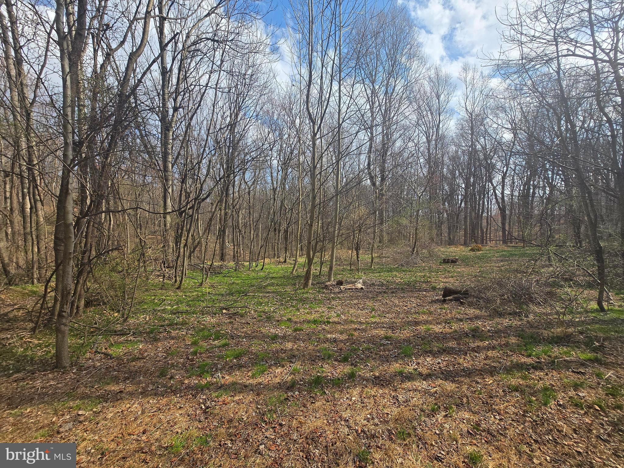 1156 Day Road Sykesville, MD 21784 - Photo 14 of 24 a view of a backyard with large trees