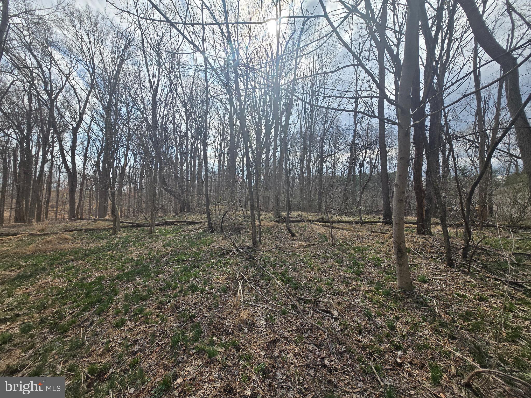 1156 Day Road Sykesville, MD 21784 - Photo 15 of 24 a view of outdoor space with wooden fence